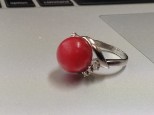 写真 2013-01-24 9 14 37