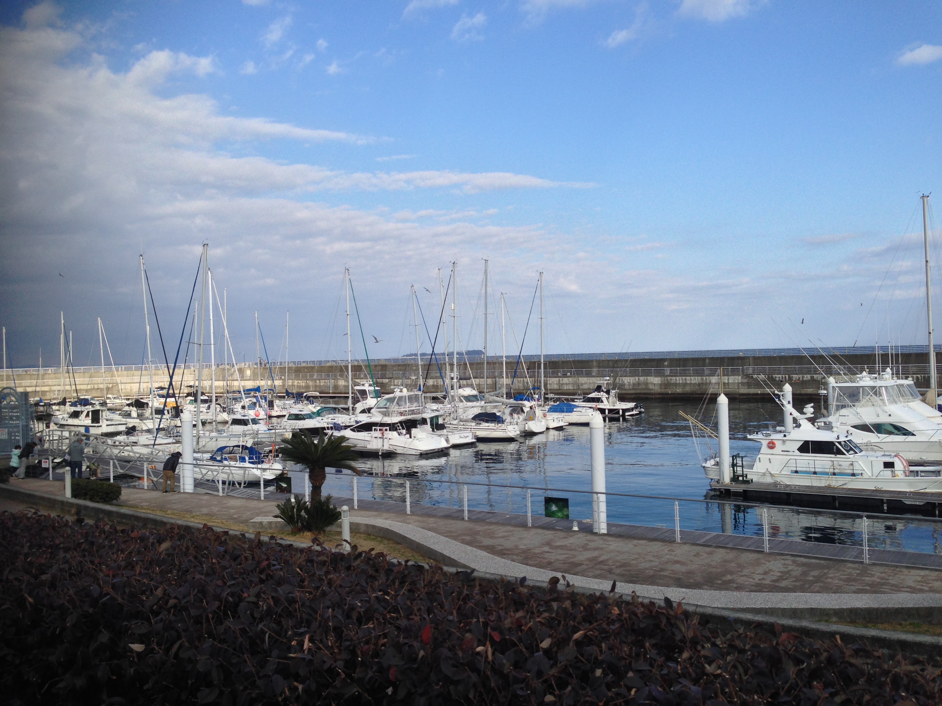 写真 2014-01-05 14 17 08