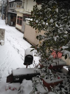 写真 2014-02-08 13 17 55