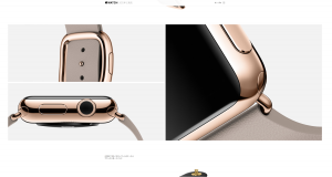 Apple - Apple Watch - Edition