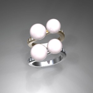 2015-2-5-tinoPring1A1