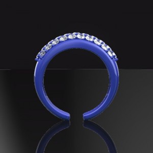 zenpaveR1-C