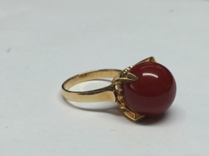 IMG_6254.JPG