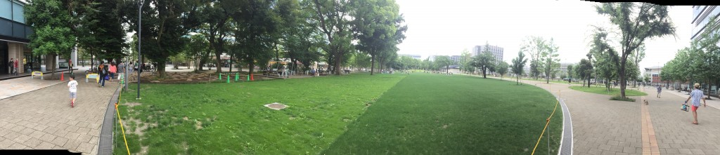 写真 2015-06-20 12 25 04