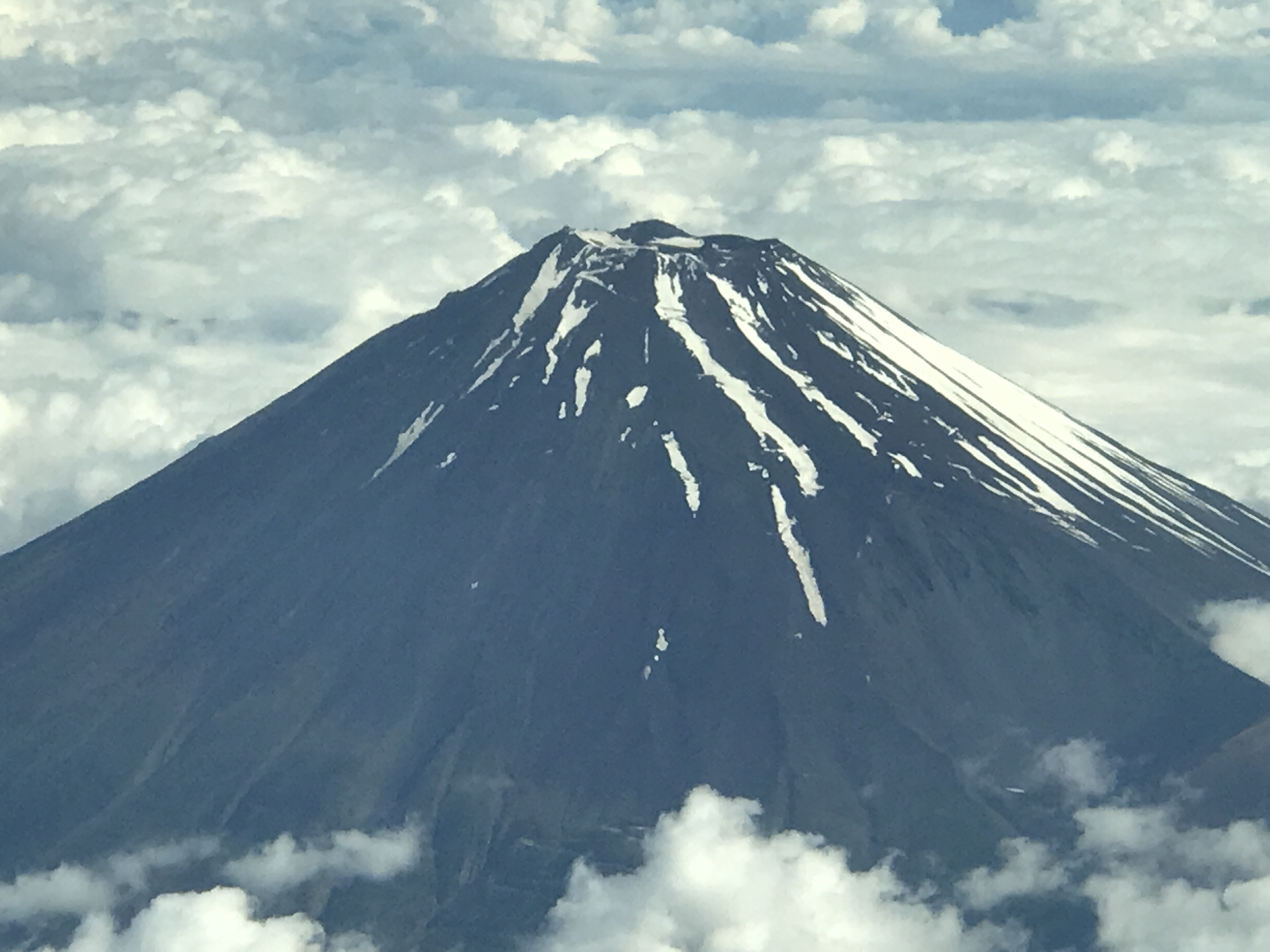 写真 2017-06-14 7 55 54