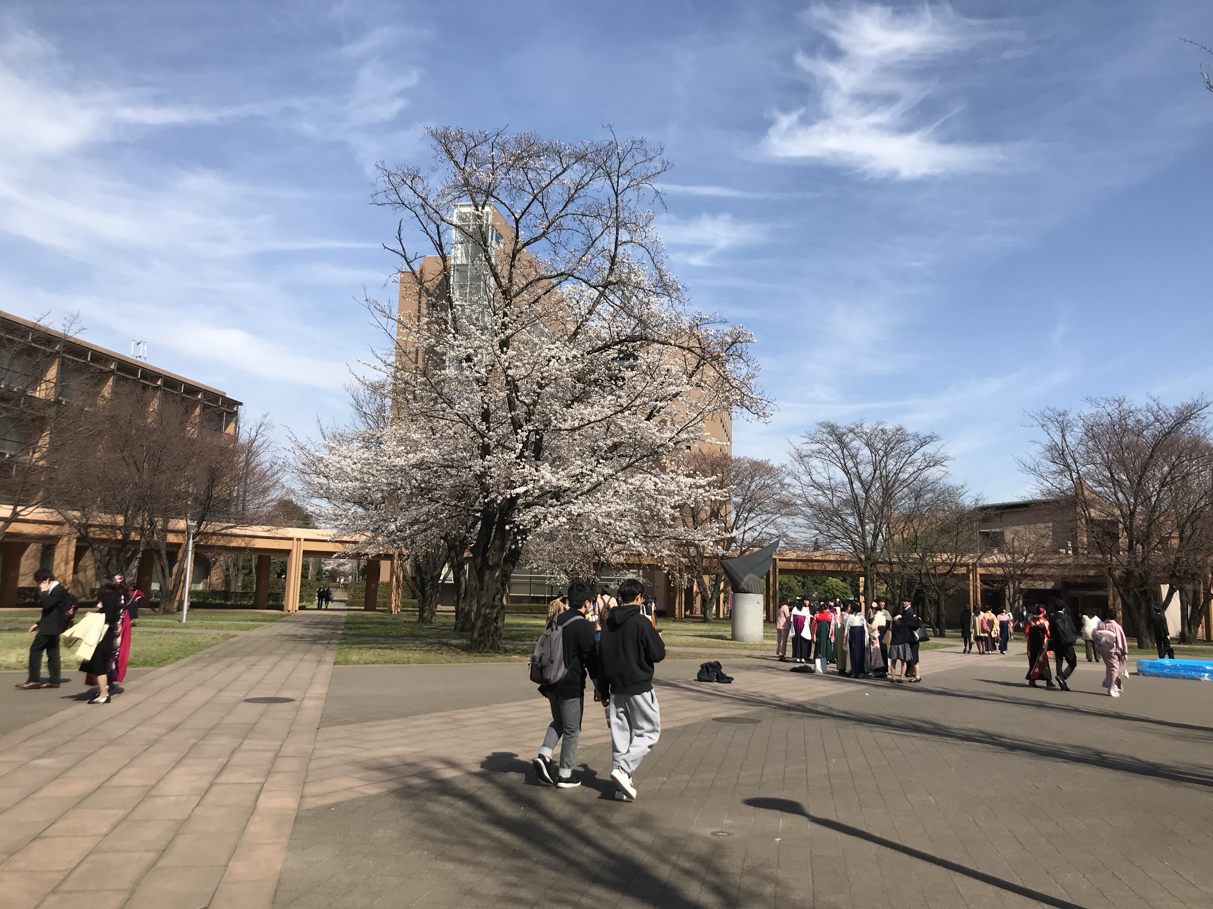 写真 2018-03-26 14 11 27